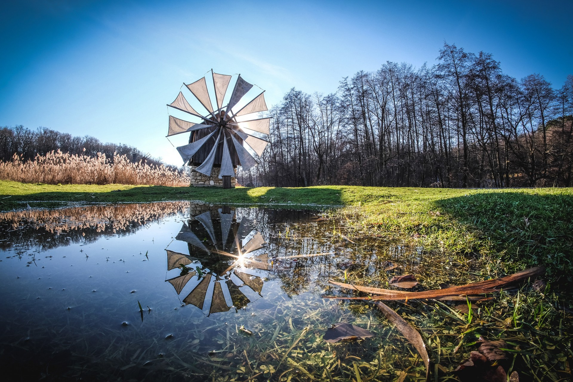 parcul natural dumbrava sibiului